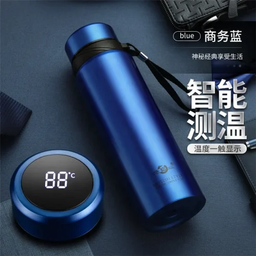 Smart LED Temperature Display Water Bottle